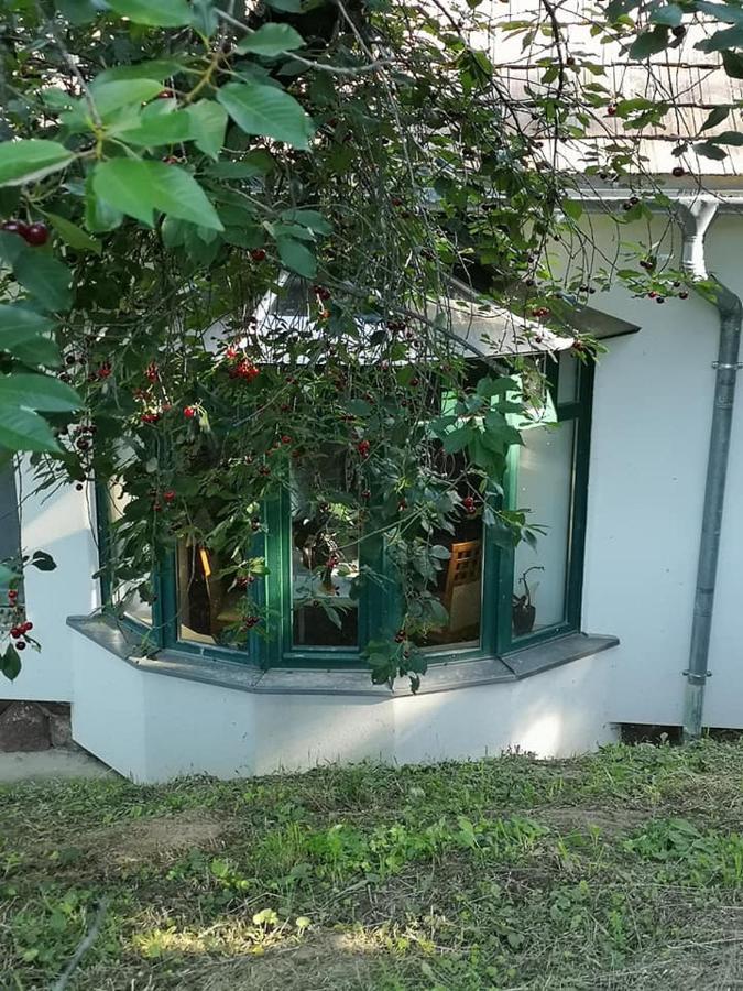 Nyugalomsziget Vila Kotcse Exterior foto
