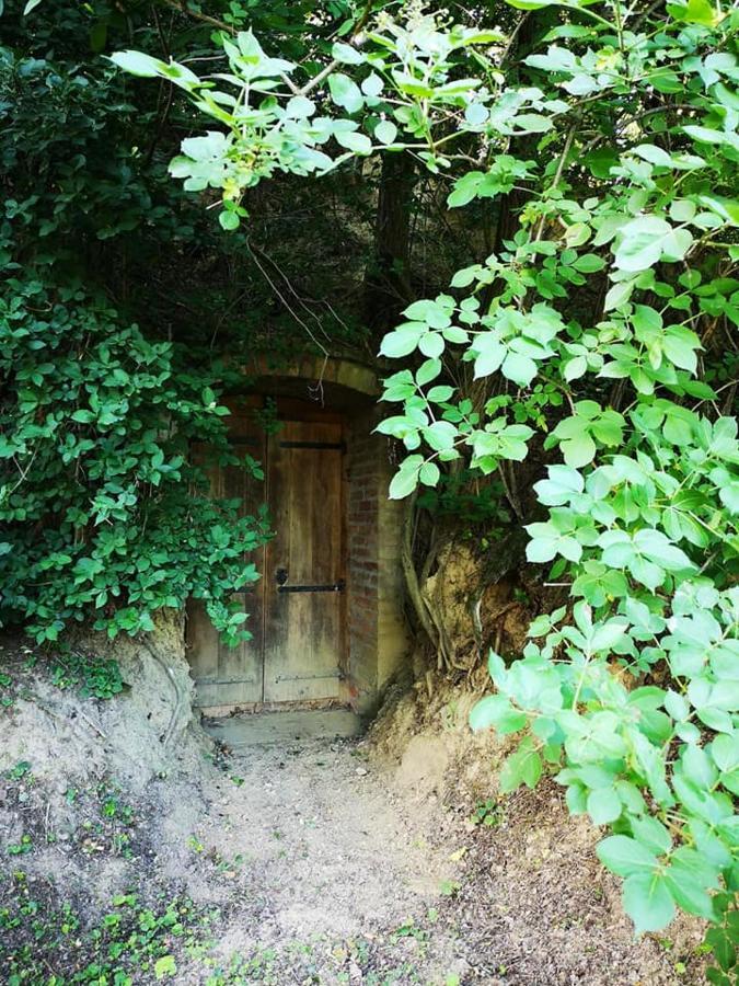 Nyugalomsziget Vila Kotcse Exterior foto